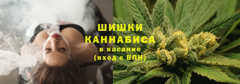 Бошки Шишки индика  где купить наркоту  Дмитров 